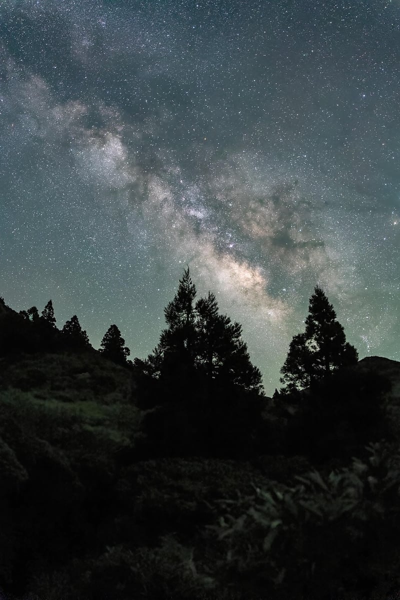 Galactic Universe